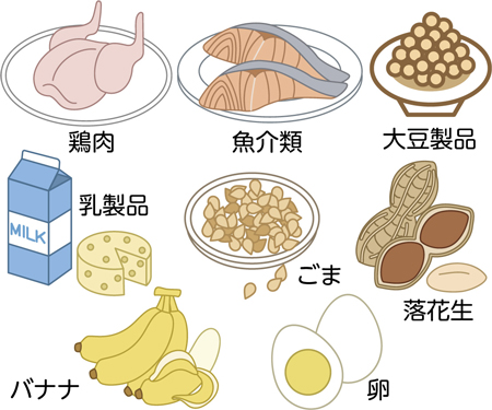 トリプトファンが豊富な食品